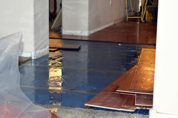 Professional Basement Flood Cleanup technician working in Smyrna, DE